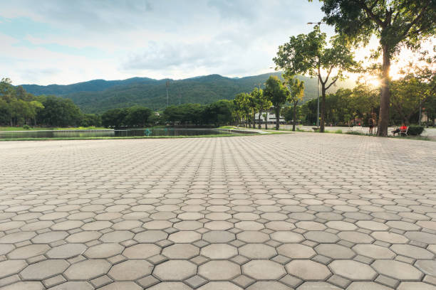 Best Driveway Pavers Near Me  in Lowell, MI